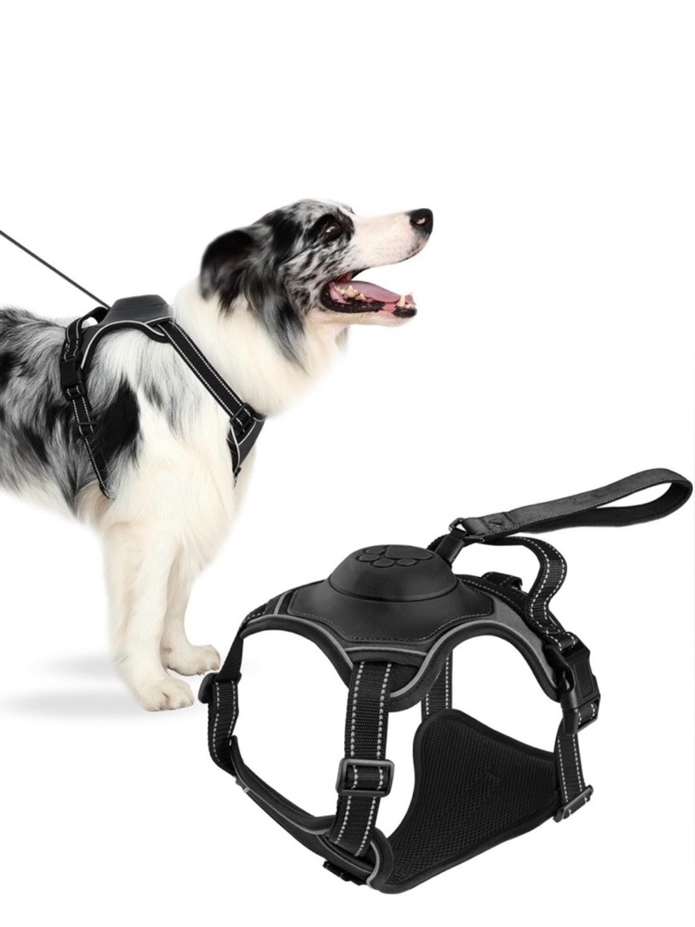 Retractable leash dog harness size M
